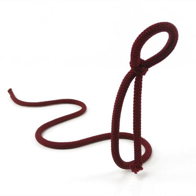 Suspended Rope Wine Bottle - Rheasie & Co